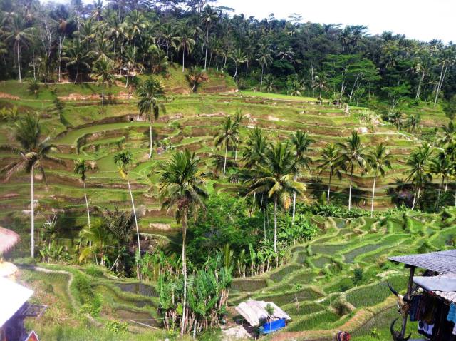 10714518_10152336055397547_9119587343285833096_o